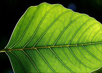 求个安全渠道的电话号码轰炸app